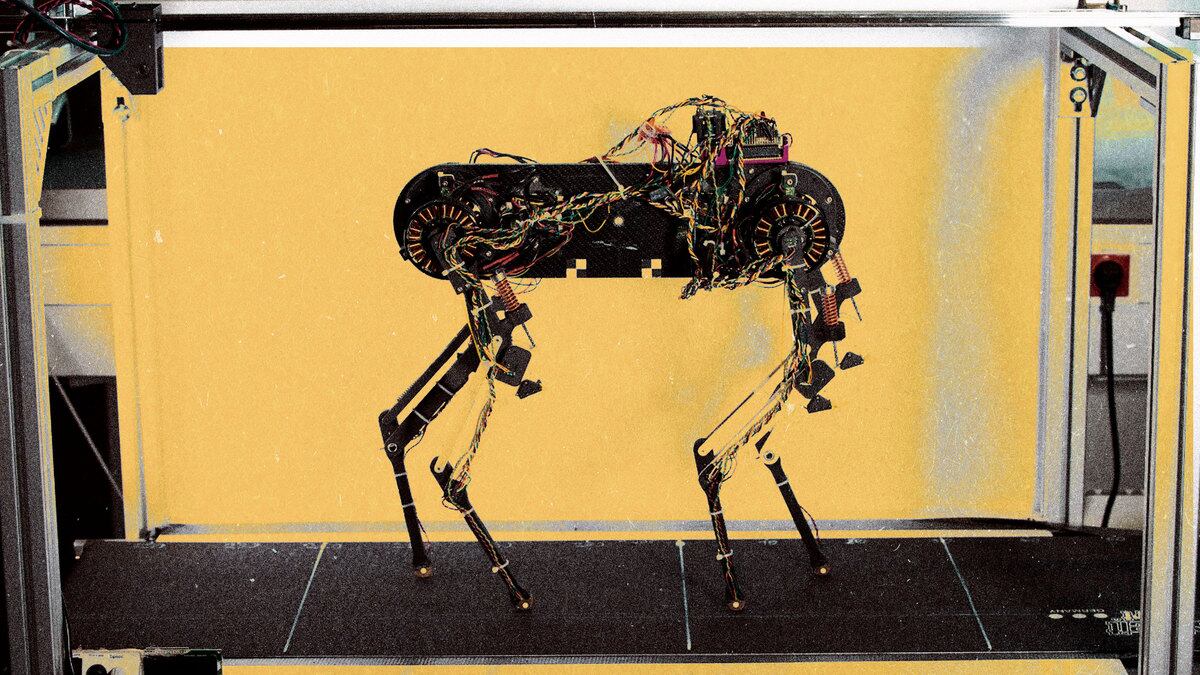 220718-Tran-robot-dog-tease_ayarqg