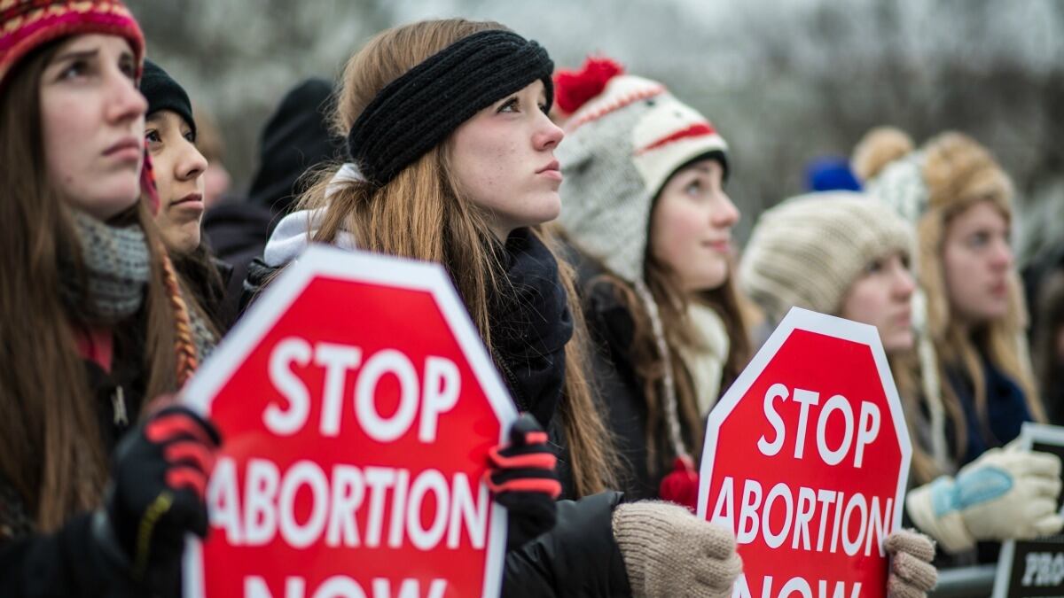 cheats/2013/06/18/house-passes-anti-abortion-bill/130618-abortion-cheat_g0wchi