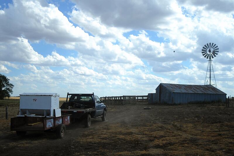 galleries/2012/08/09/praying-for-rain-at-sunshine-ranch-photos/texas-drought-4_cj8yln