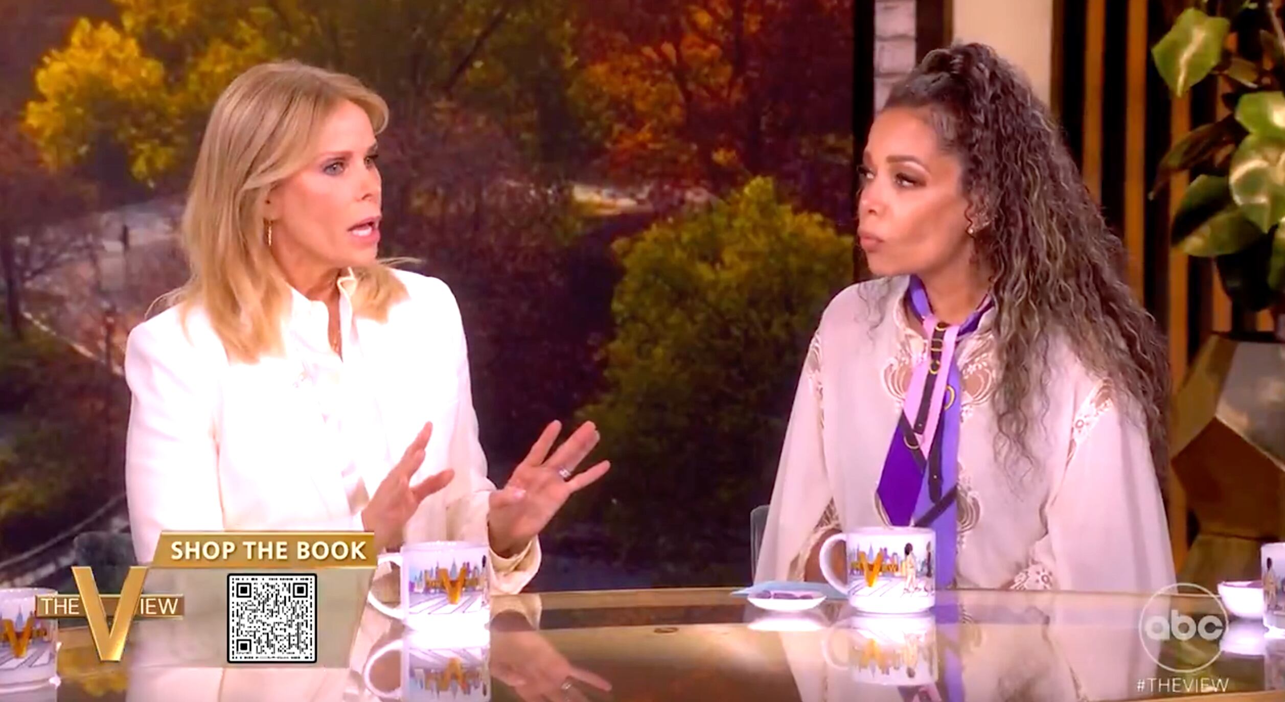 Cheryl Hines Brutally Grilled in Tense Sit-Down With 'The View'