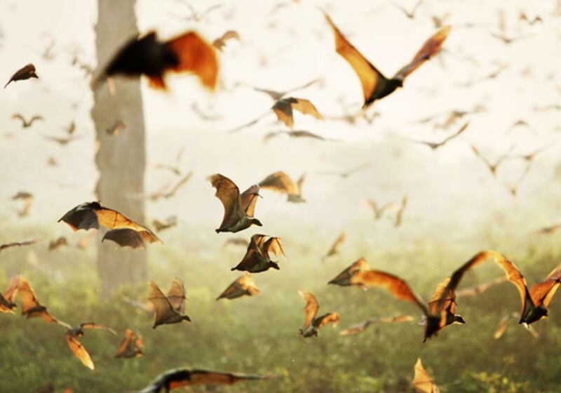 galleries/2010/03/18/life/life---8_vp7gvr