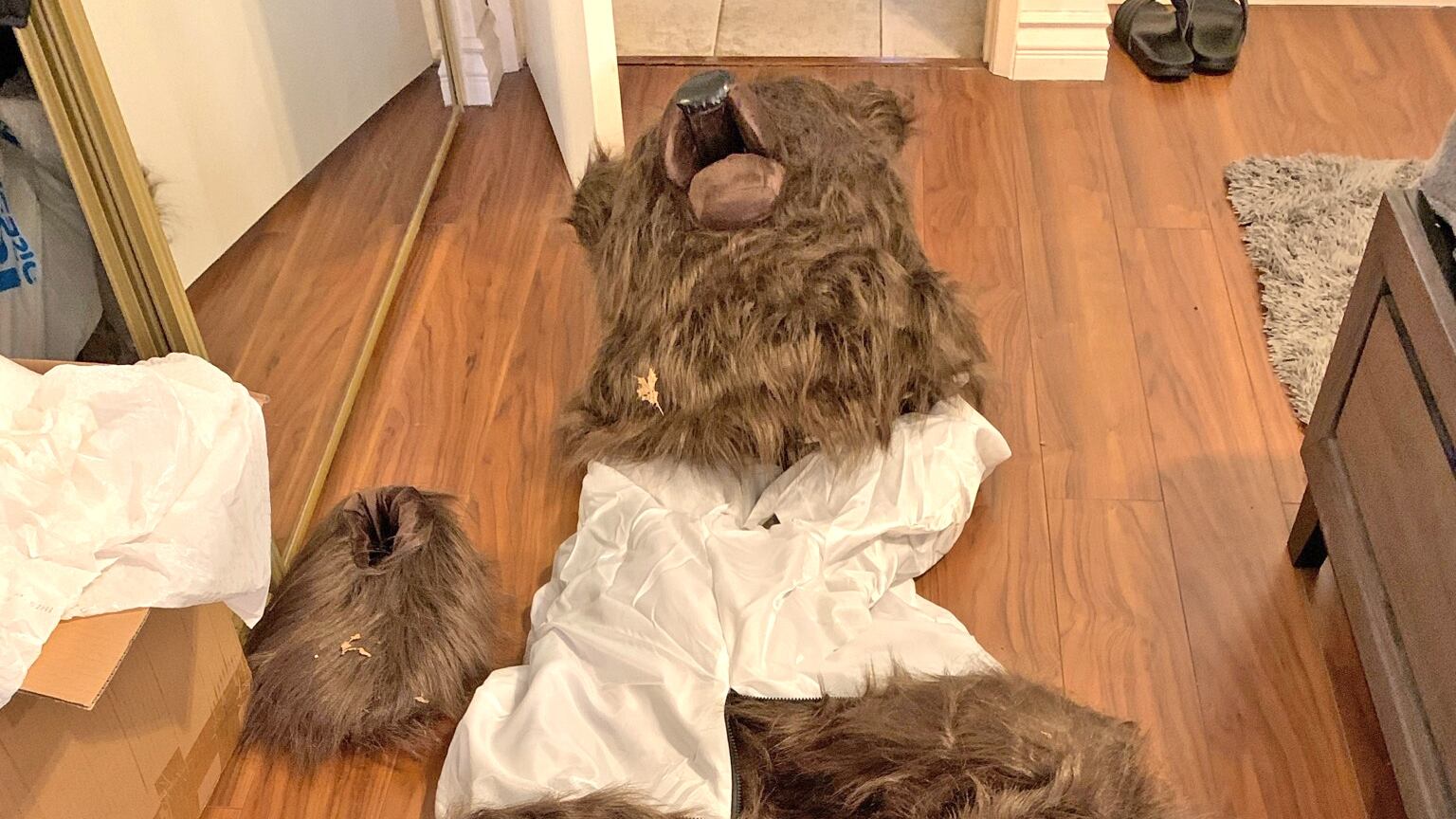 The bear costume used by fraudsters.