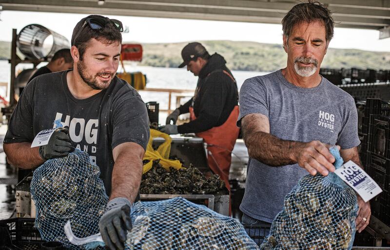 articles/2015/07/11/go-hog-wild-for-oysters-near-san-francisco/150713-sponsor-oysters-embed3_cp0eyu