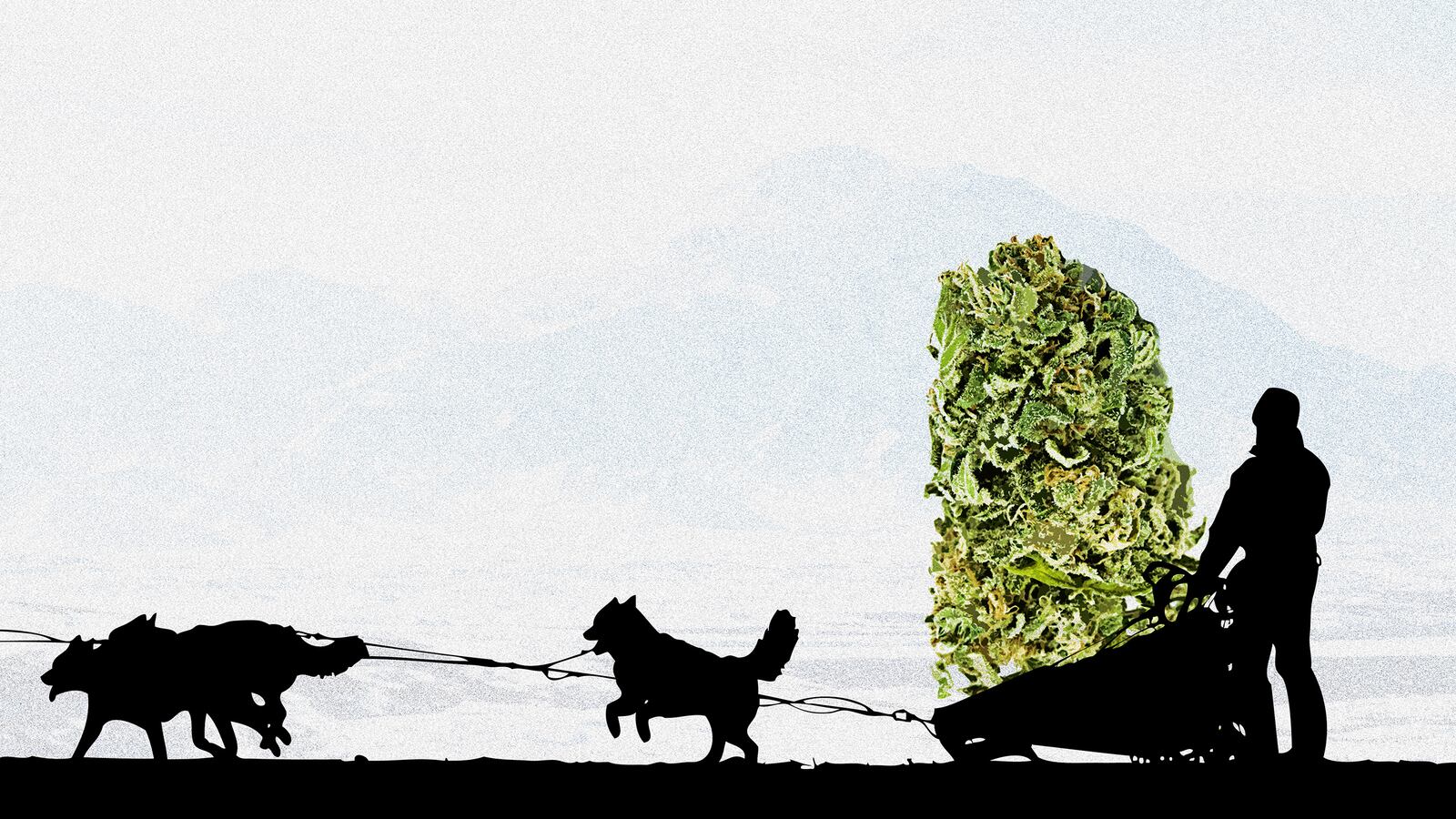 articles/2016/01/05/meals-on-wheels-but-for-pot/160104-haglage-pot-delivery-tease_ld6nik