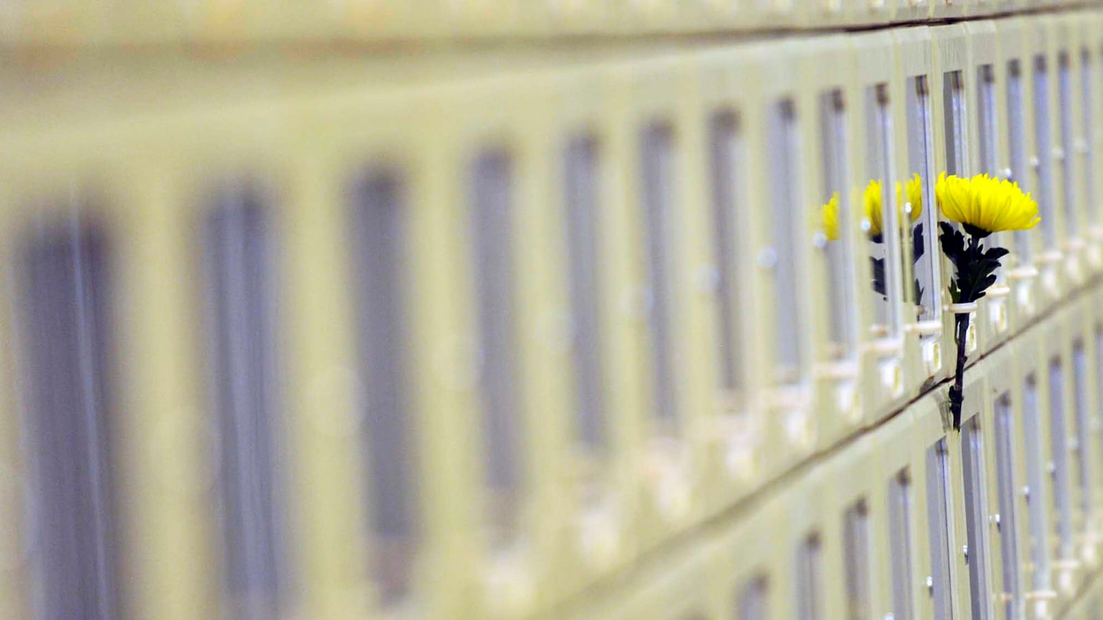 GettyImages-111506865_exhatr