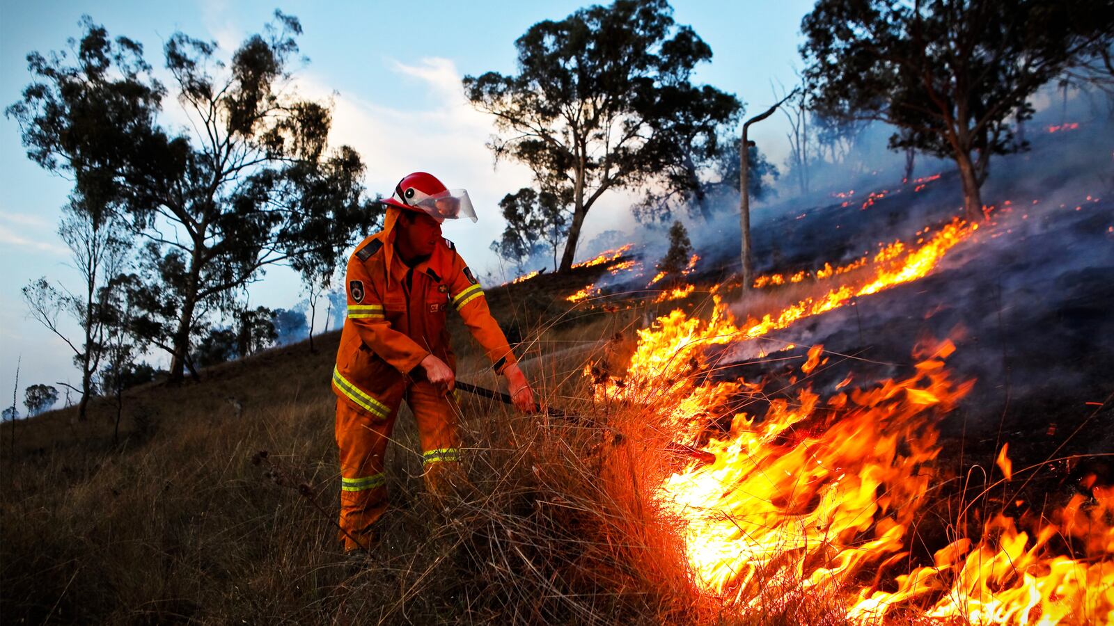 201010-Hooper-Australian-wildfires-tease_srogud