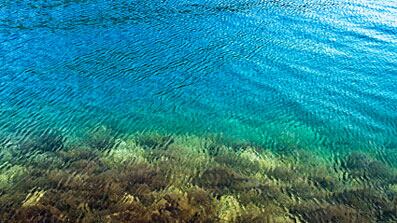 cheats/2009/02/02/introducing-google-ocean/google-earth_xfzjma