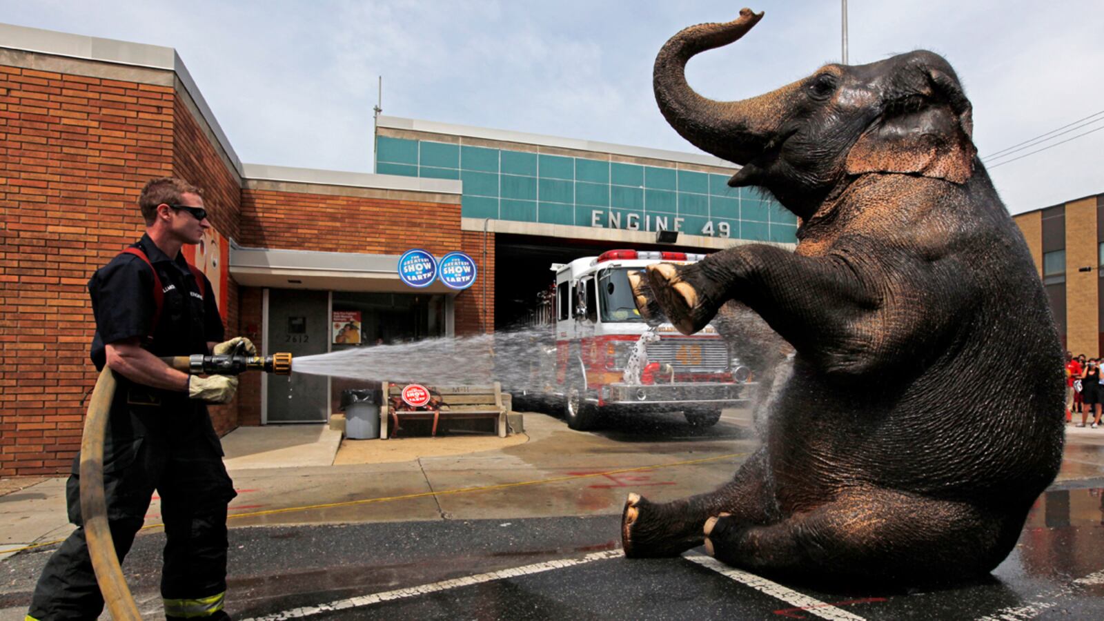 articles/2012/10/18/usda-complaint-is-peta-s-latest-salvo-in-war-against-ringling-bros/peta-vs-circus-grove-tease_efiaiw