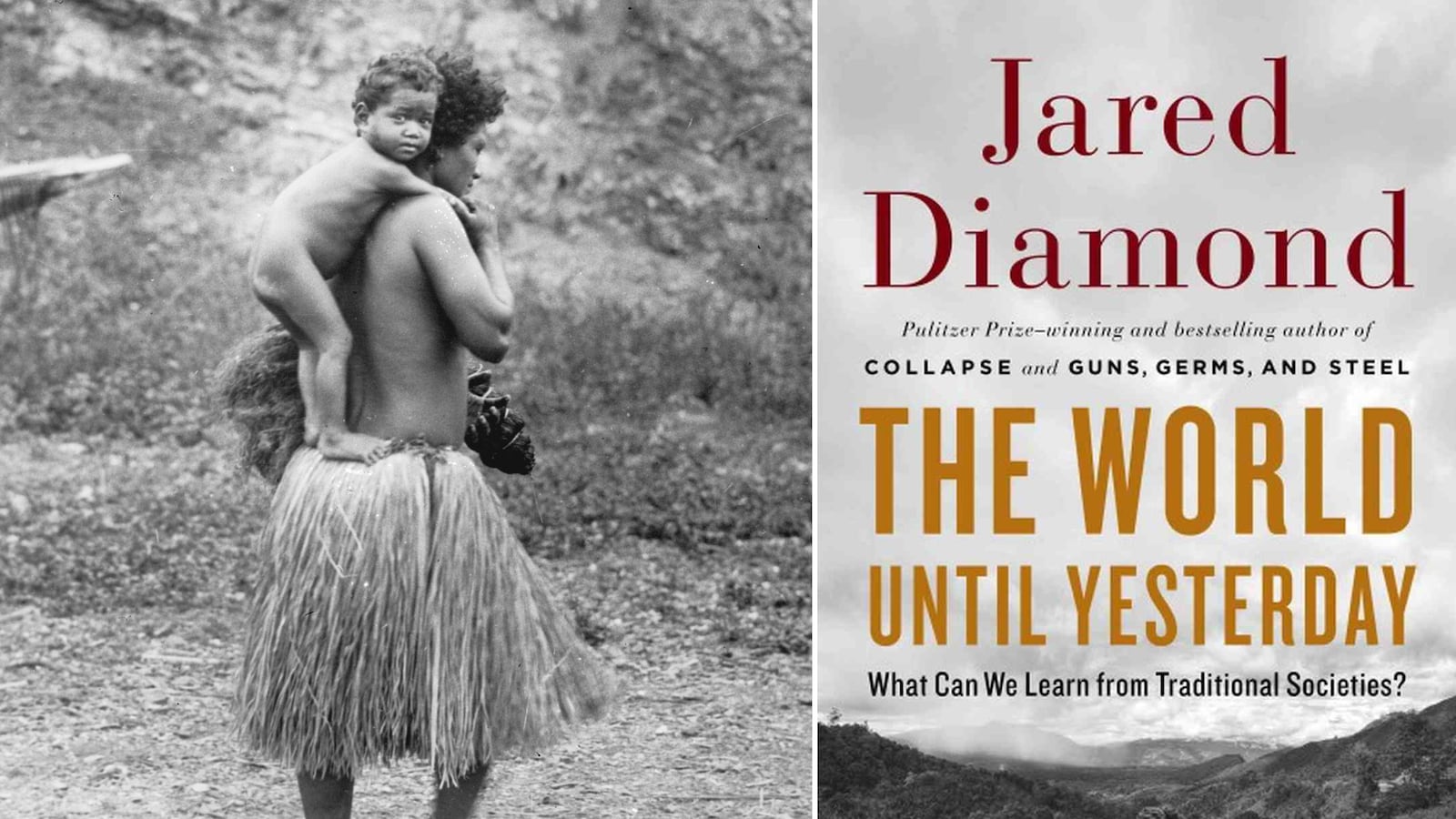 articles/2013/01/30/savaging-primitives-why-jared-diamond-s-the-world-until-yesterday-is-completely-wrong/130129-jared-diamond-book-corry-tease_zqkflk