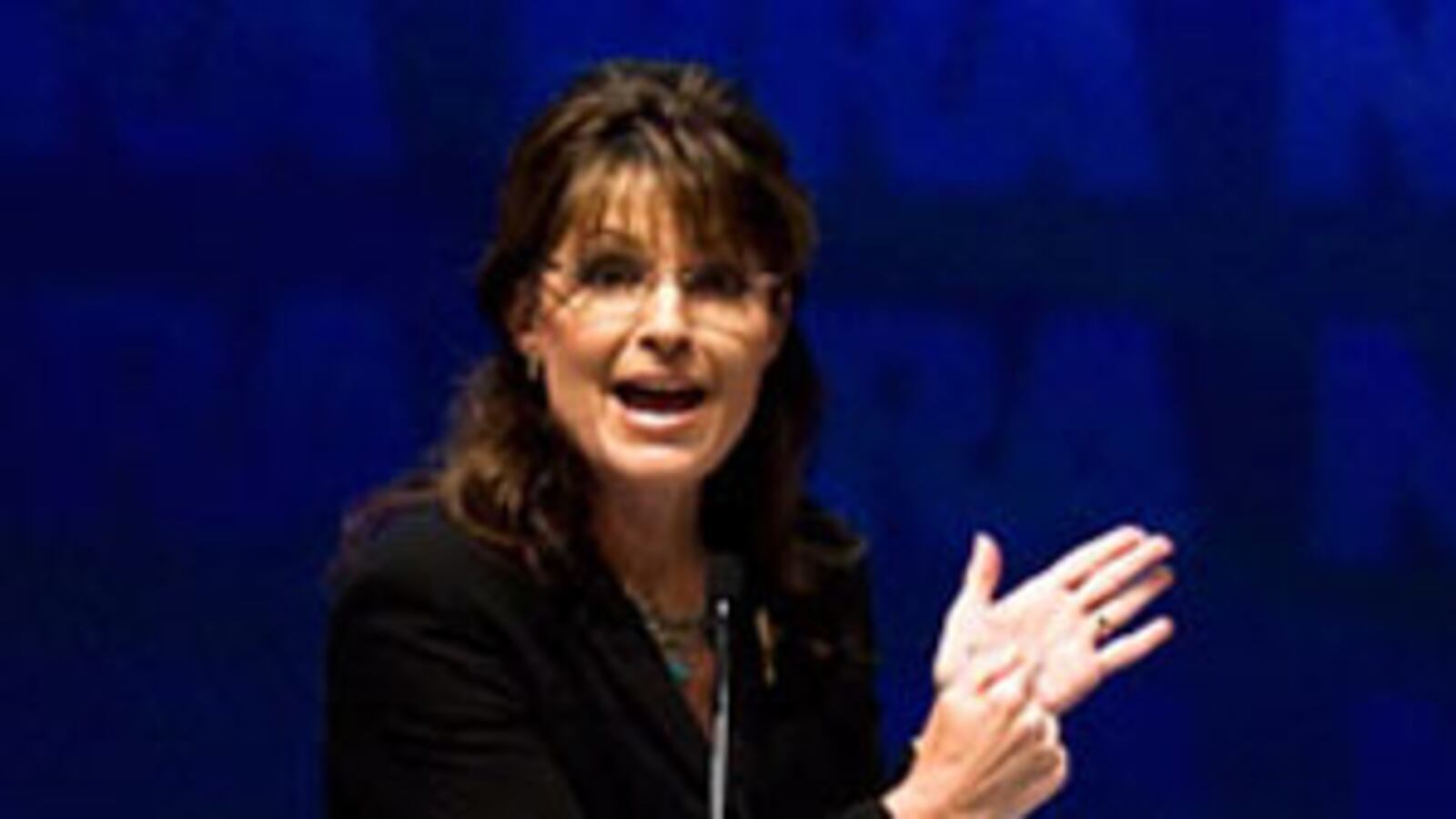 cheats/2010/05/14/palin-loves-guns-being-a-redneck/palin-loves-guns-being-a-redneck_vopimm