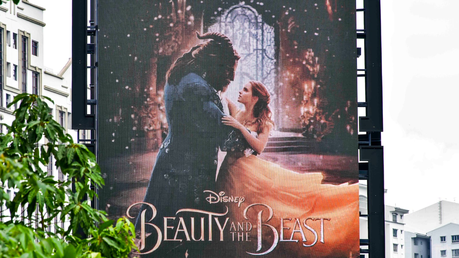 beauty and the beast