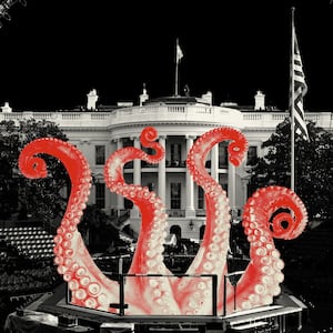 White House made up for UFC event with octopus tentacles coming up