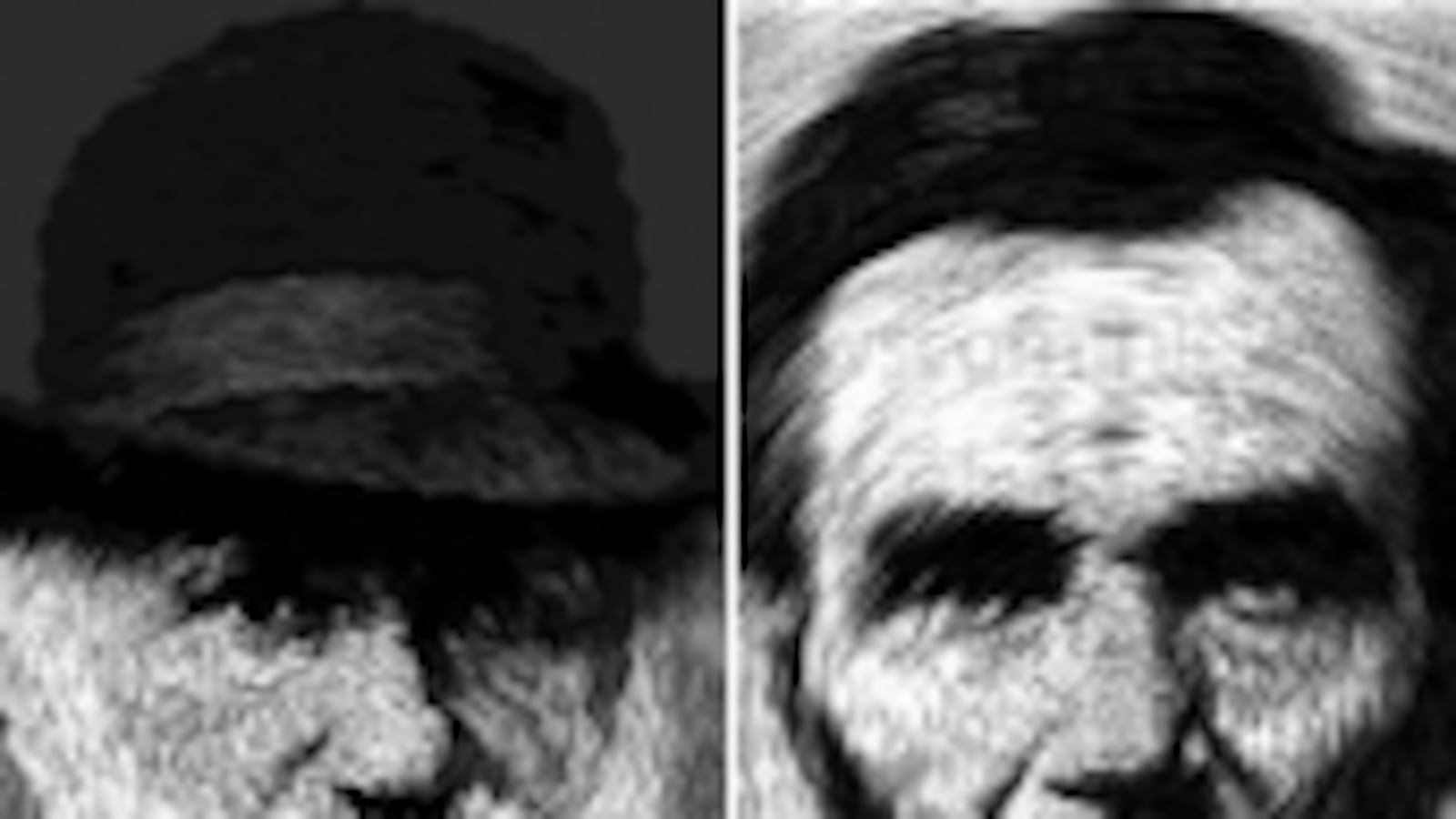 articles/2009/02/03/the-evolution-of-darwin-and-lincoln/gopnik-darwin-lincoln_hatssk