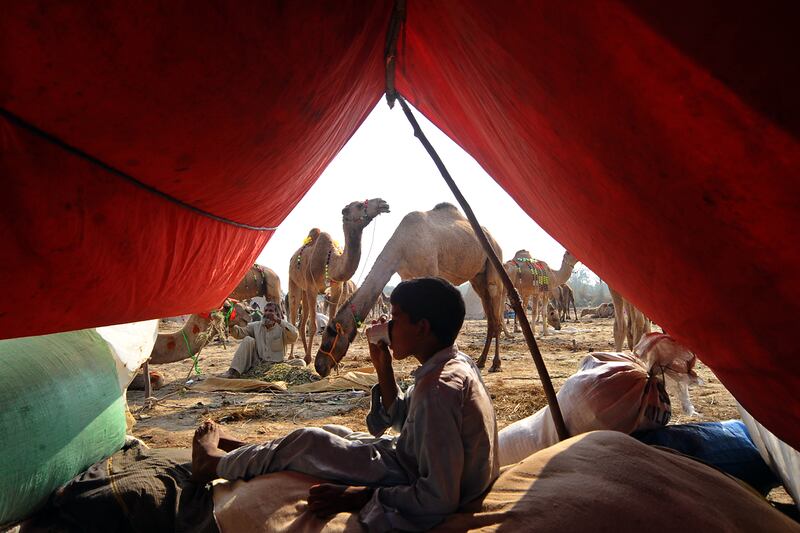 galleries/2011/10/27/photo-of-the-day/photo-of-the-day-111105-2_zcwlvu