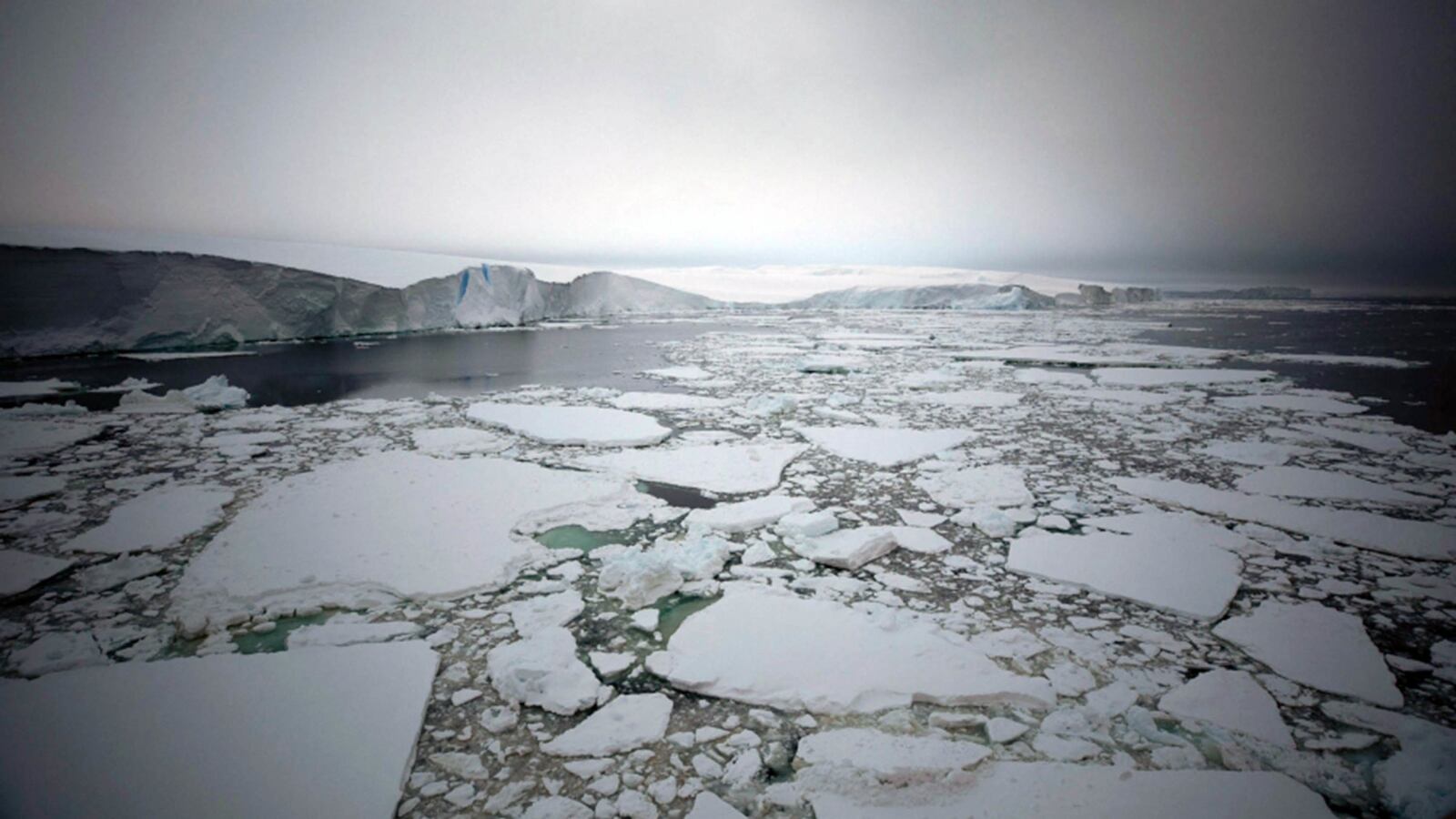 190514-climate-change-tease_bo1lyz