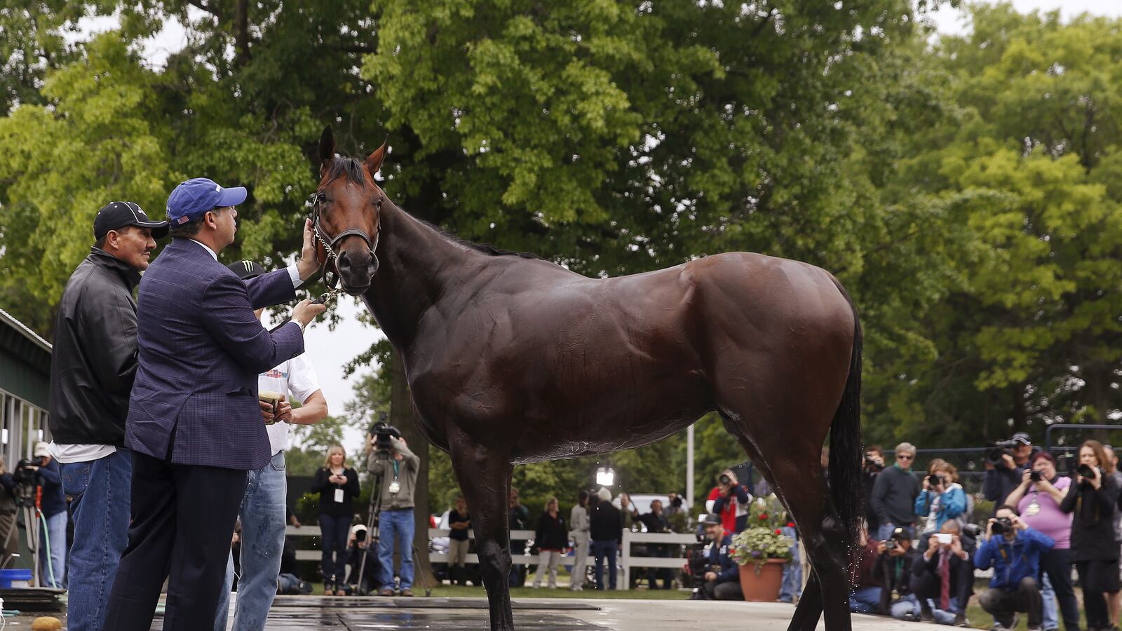 cheats/2015/06/06/american-pharoah-earns-triple-crown/150606-pharoah-cheat_mm6alo