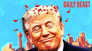 Donald Trump attracting flies in Dallas TX.