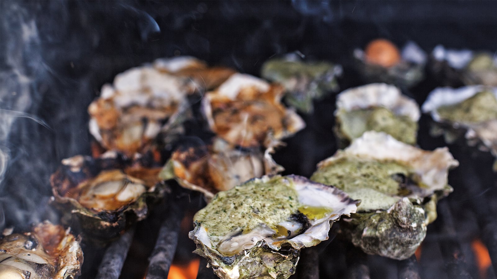 articles/2015/07/11/go-hog-wild-for-oysters-near-san-francisco/150713-sponsor-oysters-tease_zmbd3g