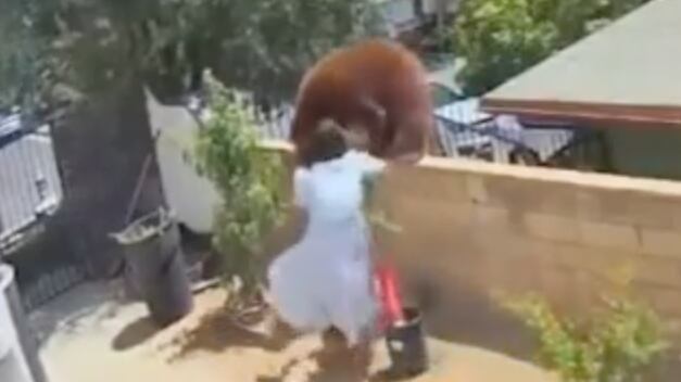 Screen_Shot_2021-06-01_at_6.34.26_PM_plugvg