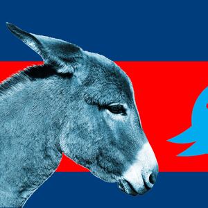 201108-stein-tweet-dems-tease_qozfyo