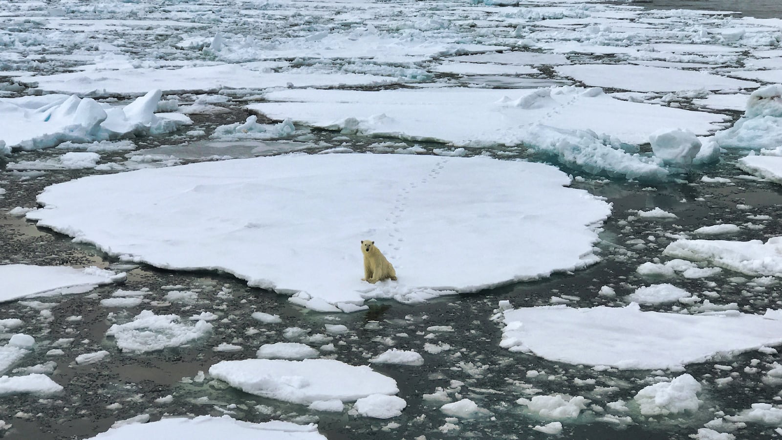 190925-Conversation-climate-change-tease_uqpcj2