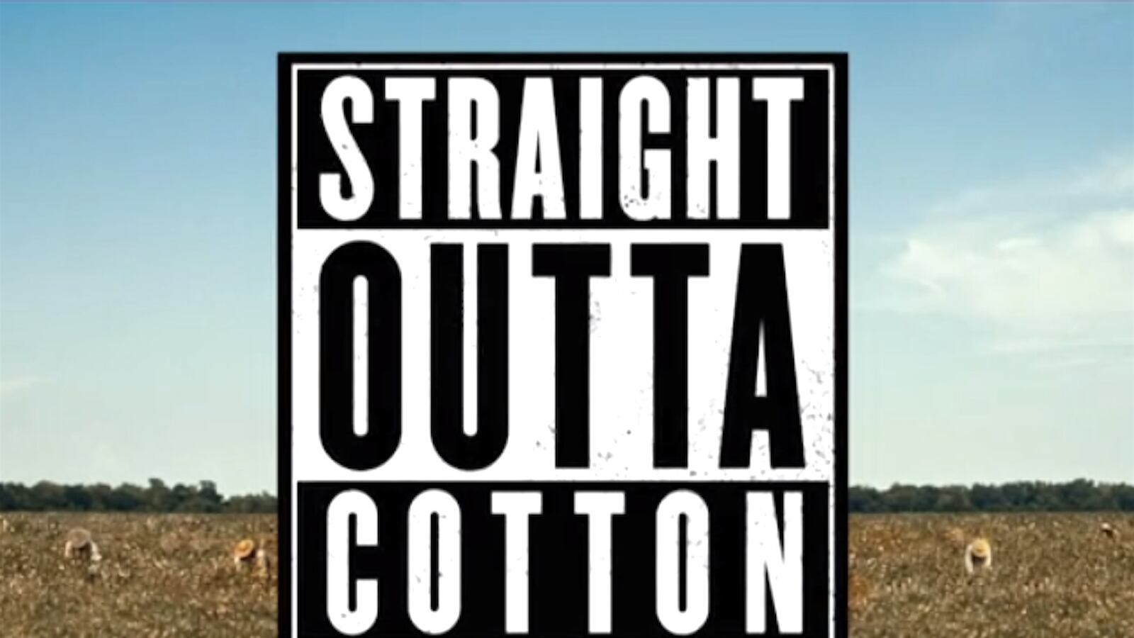 articles/2016/01/15/daily-show-edits-straight-outta-compton-into-straight-outta-cotton-to-be-more-oscar-friendly/160115-wilstein-daily-show-oscars-tease_n4kug3