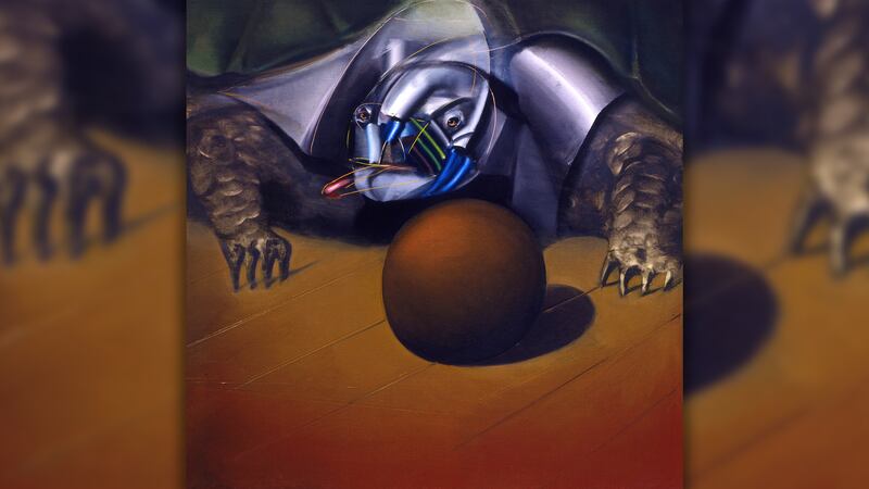 170823-Turtle-06_qgymp4