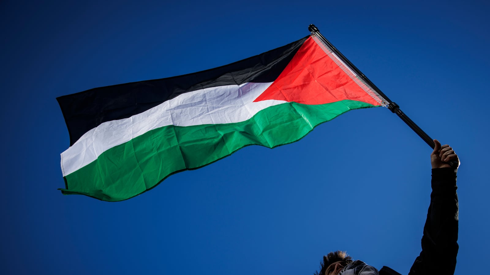 A pro-Palestine demonstrator waves a Palestinian flag in the air as demonstrators gather at Freedom Plaza for a rally on January 13, 2024 in Washington, DC.