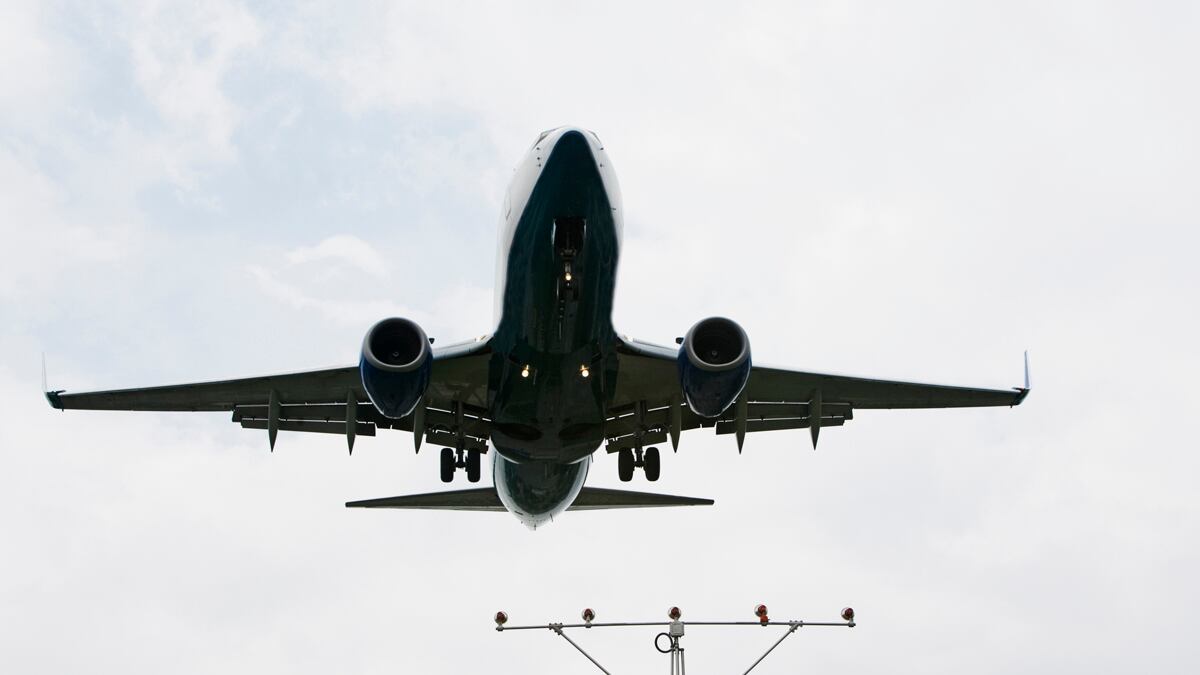 cheats/2012/04/05/pilot-lands-plane-with-snake-on-leg/snake-cargo-plane-australia-cheat_kvrrxs