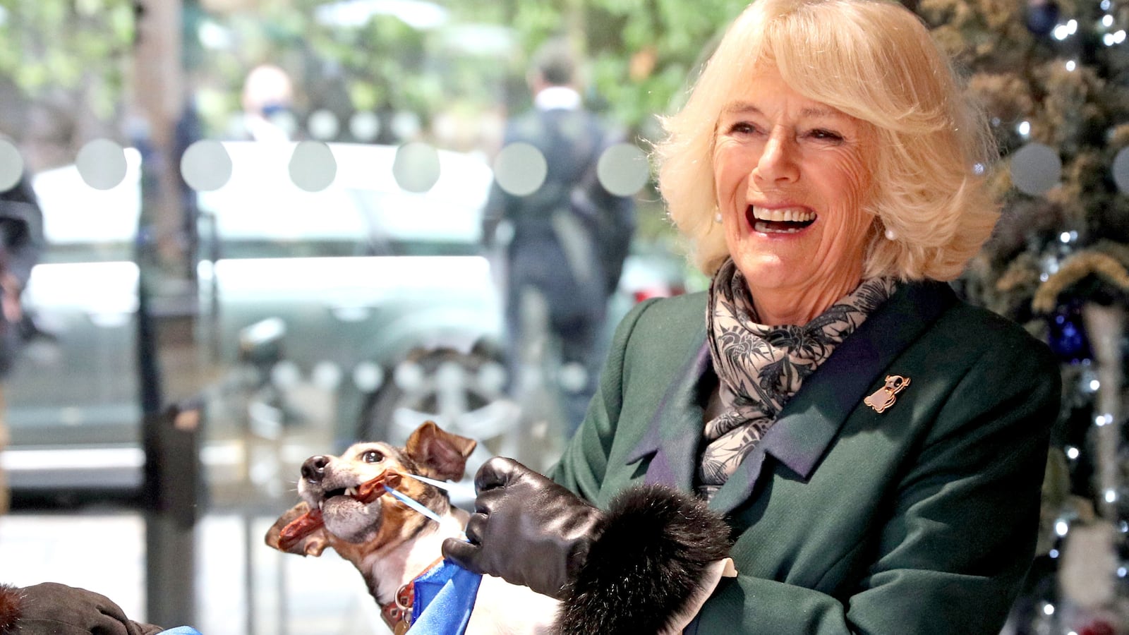 Queen Camilla holds her jack-russell terrier unveiling a plaque as they visit the Battersea Dogs and Cats Home