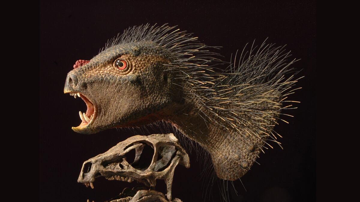 cheats/2012/10/03/scientists-discover-mini-dinosaur/dwarf-dinosaur-discovery-pegomastax-cheat_dqfy8j