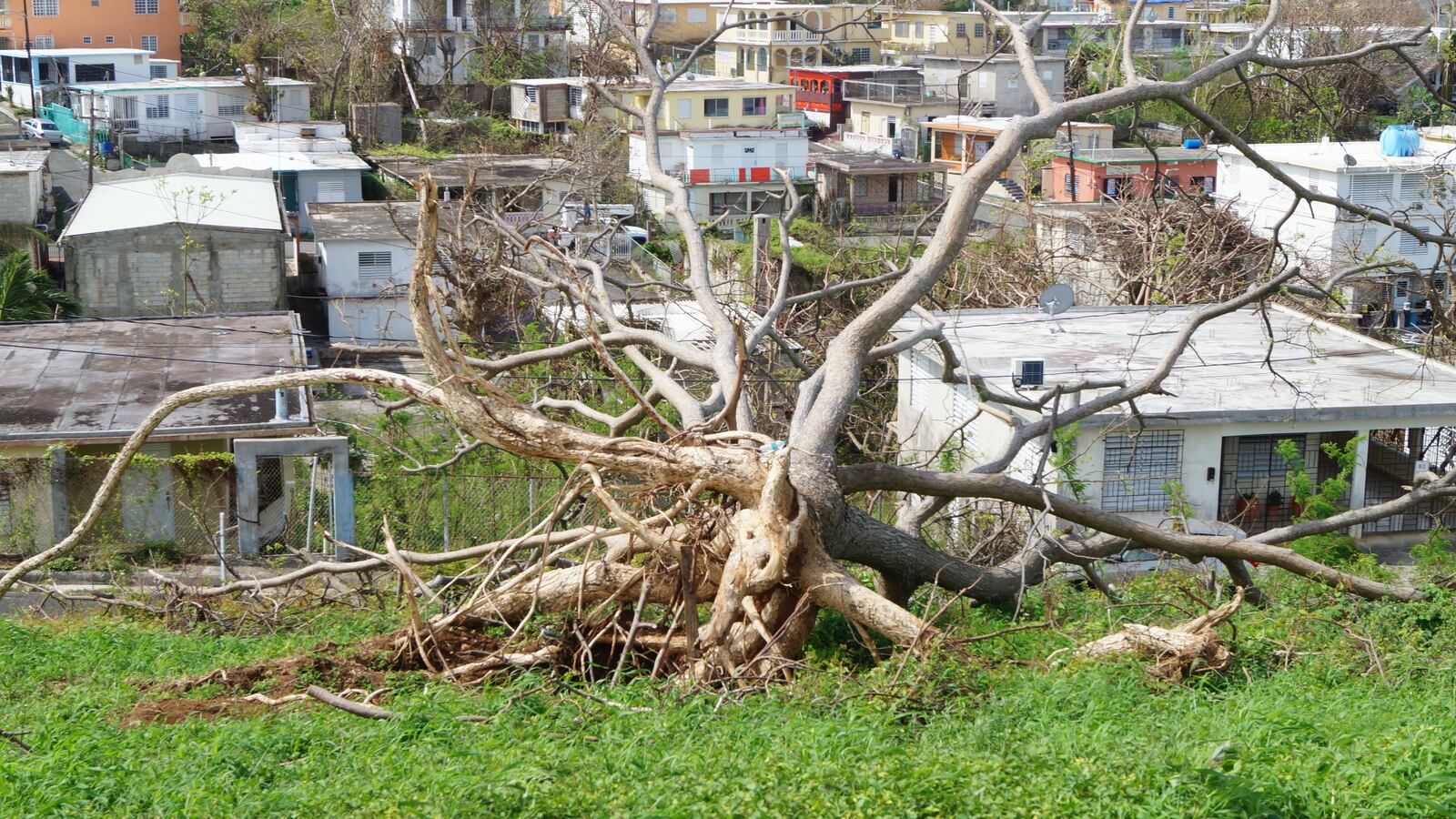 Without Power Until Next Year, Puerto Ricans Are Leaving—Maybe Forever