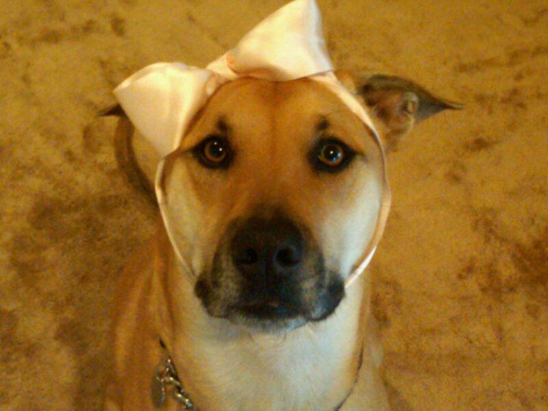 galleries/2011/04/28/twitpics-4-28/twitpi428---conrad_z46fgm