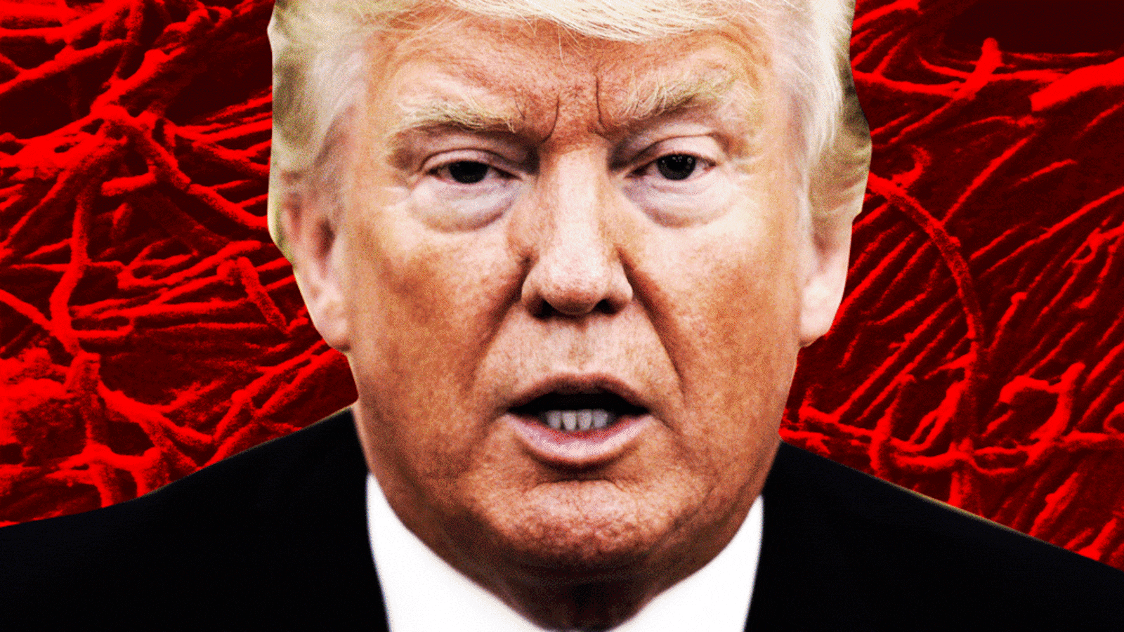 180518-basu-ebola-hero_wdzskc