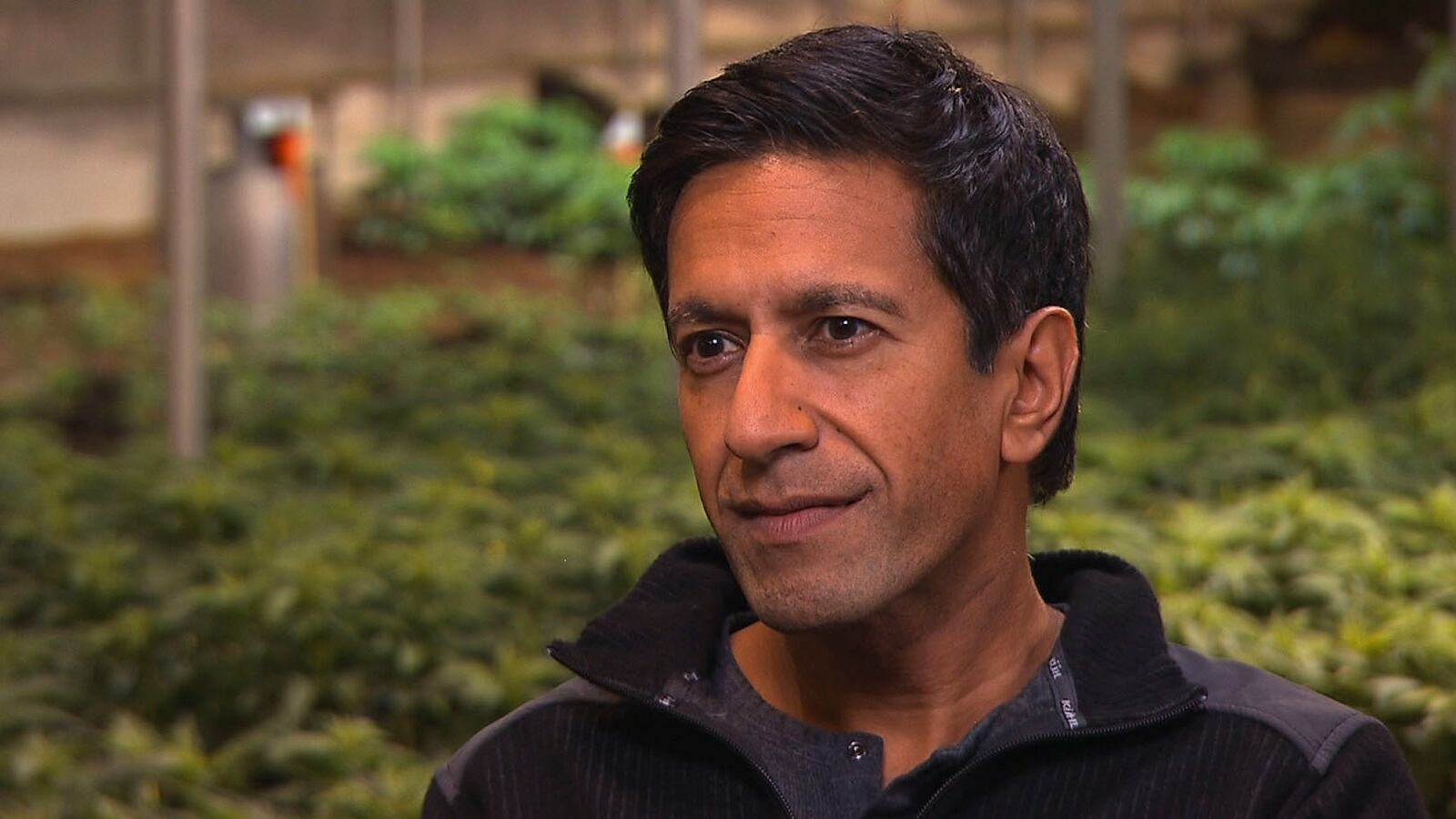 articles/2014/03/11/sanjay-gupta-s-pot-pilgrimage-for-pain-relief/140305-panne-weed-tease_fjtmrk