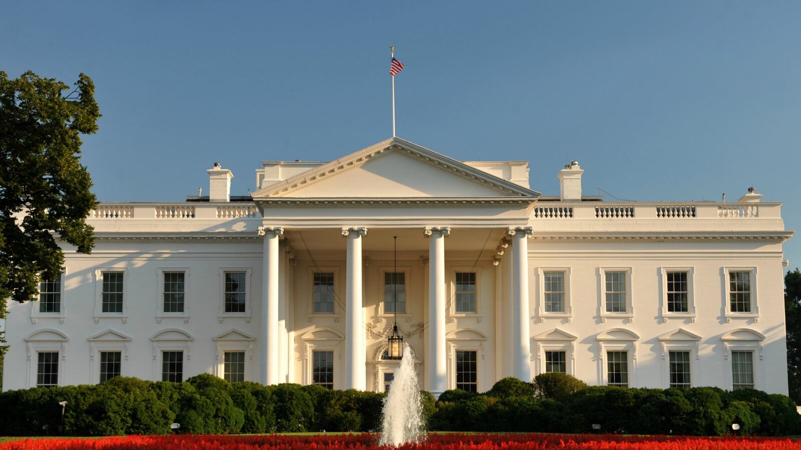 cheats/2017/02/22/wh-chief-digital-officer-fired-over-background-check/170222-the-white-house-cheat_r5yxfq