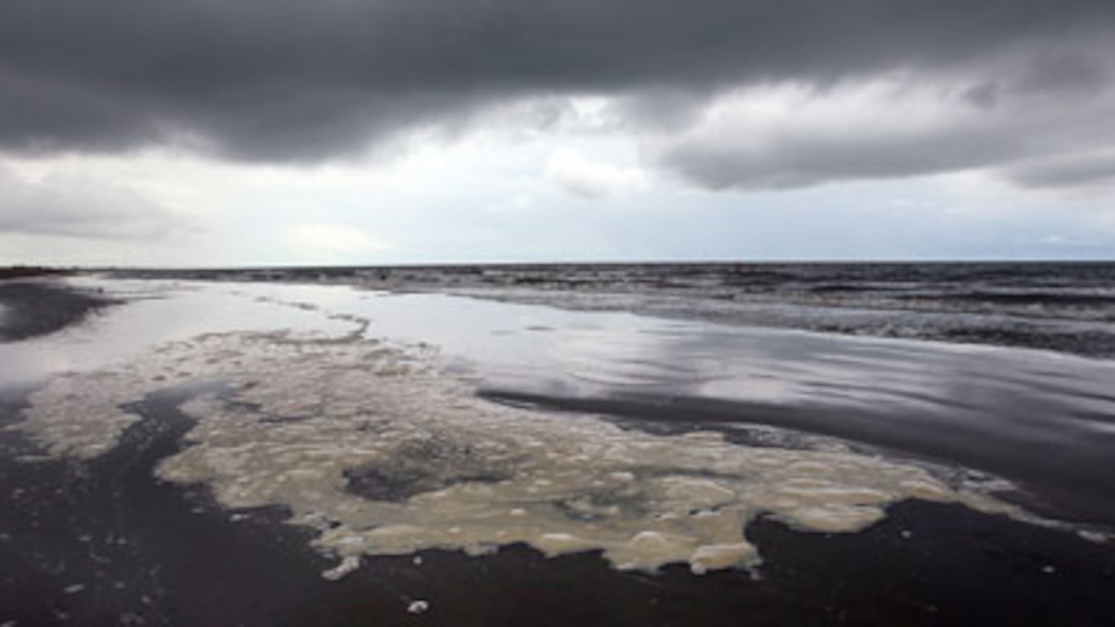 cheats/2010/08/19/scientists-oil-has-not-vanished/gulf-oil-spill-cleanup_bfug54