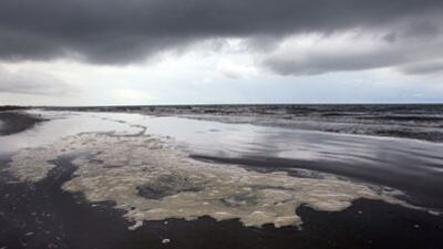 cheats/2010/08/19/scientists-oil-has-not-vanished/gulf-oil-spill-cleanup_bfug54