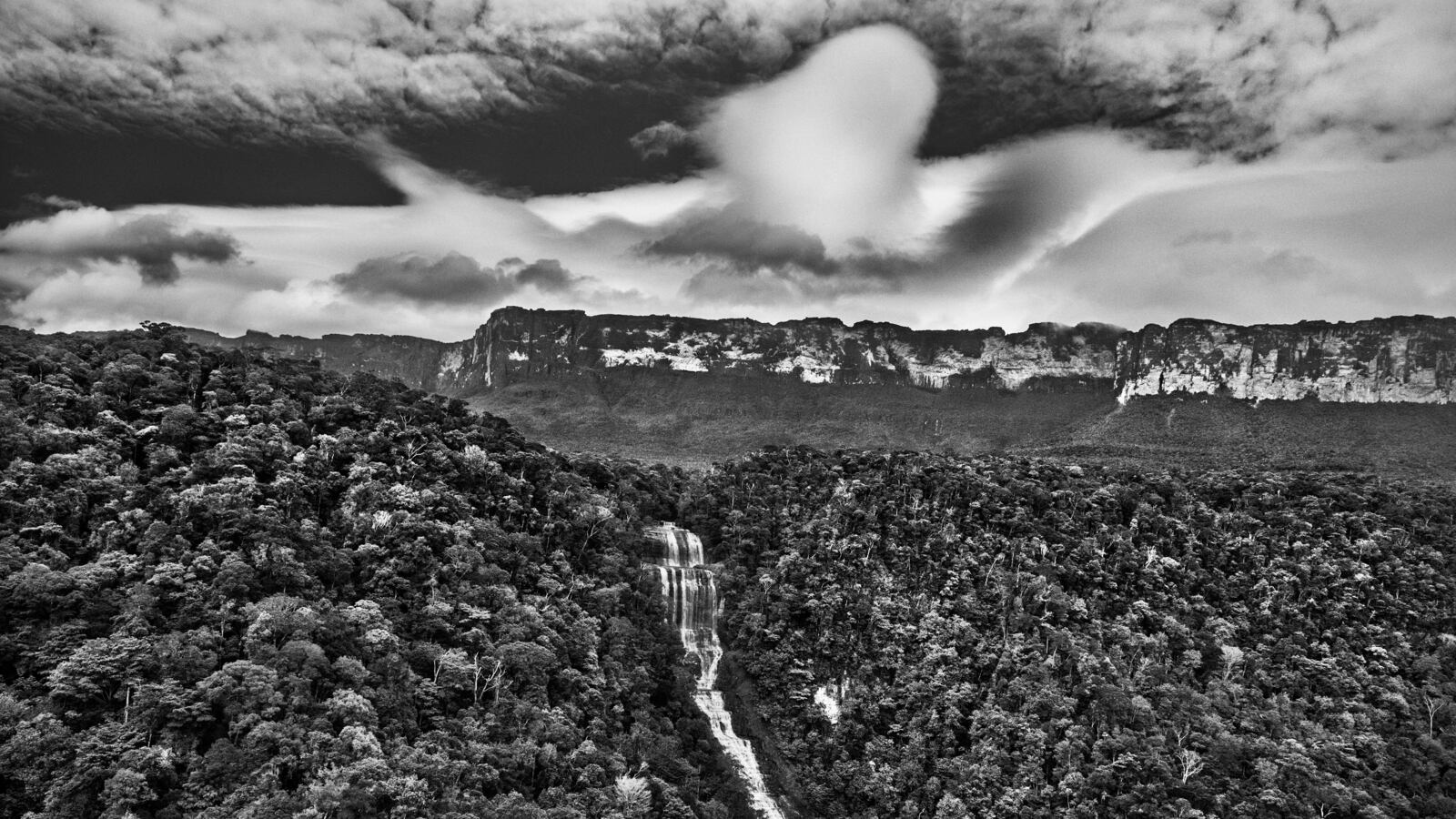 210824-just-booked-tease_u2coux