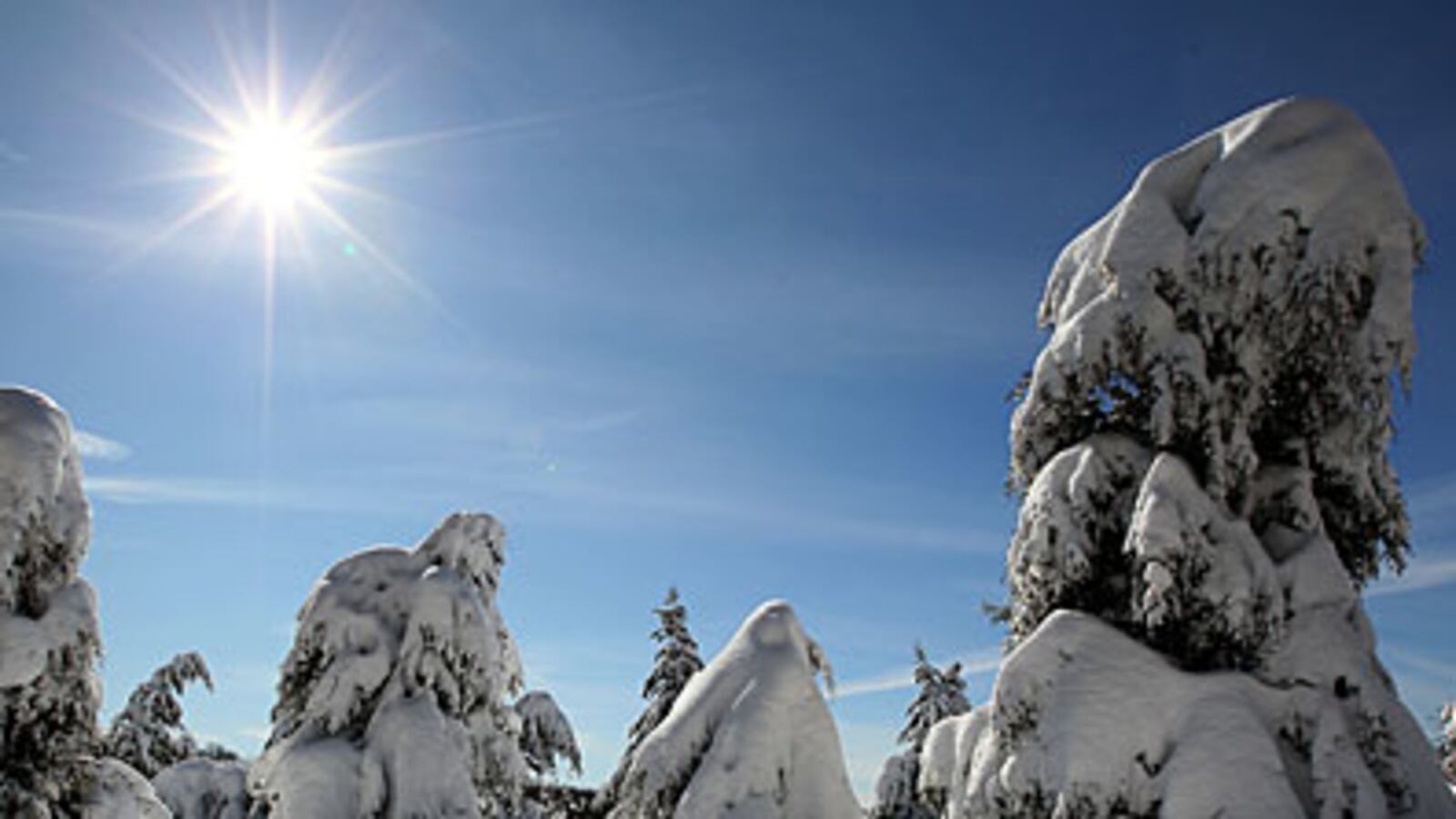 cheats/2010/02/10/blizzard-closes-dc-airports/snowmaggedon-ii-2_te5glb