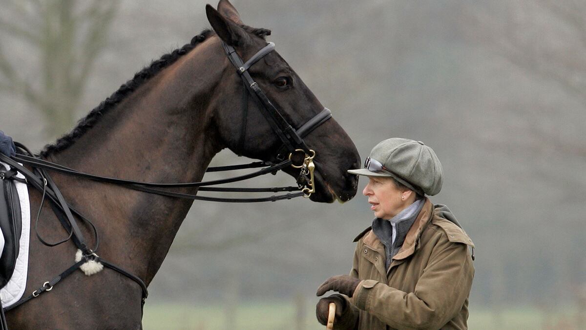 articles/2013/11/14/princess-anne-says-we-should-eat-horses/anne-horse_bi8yiy