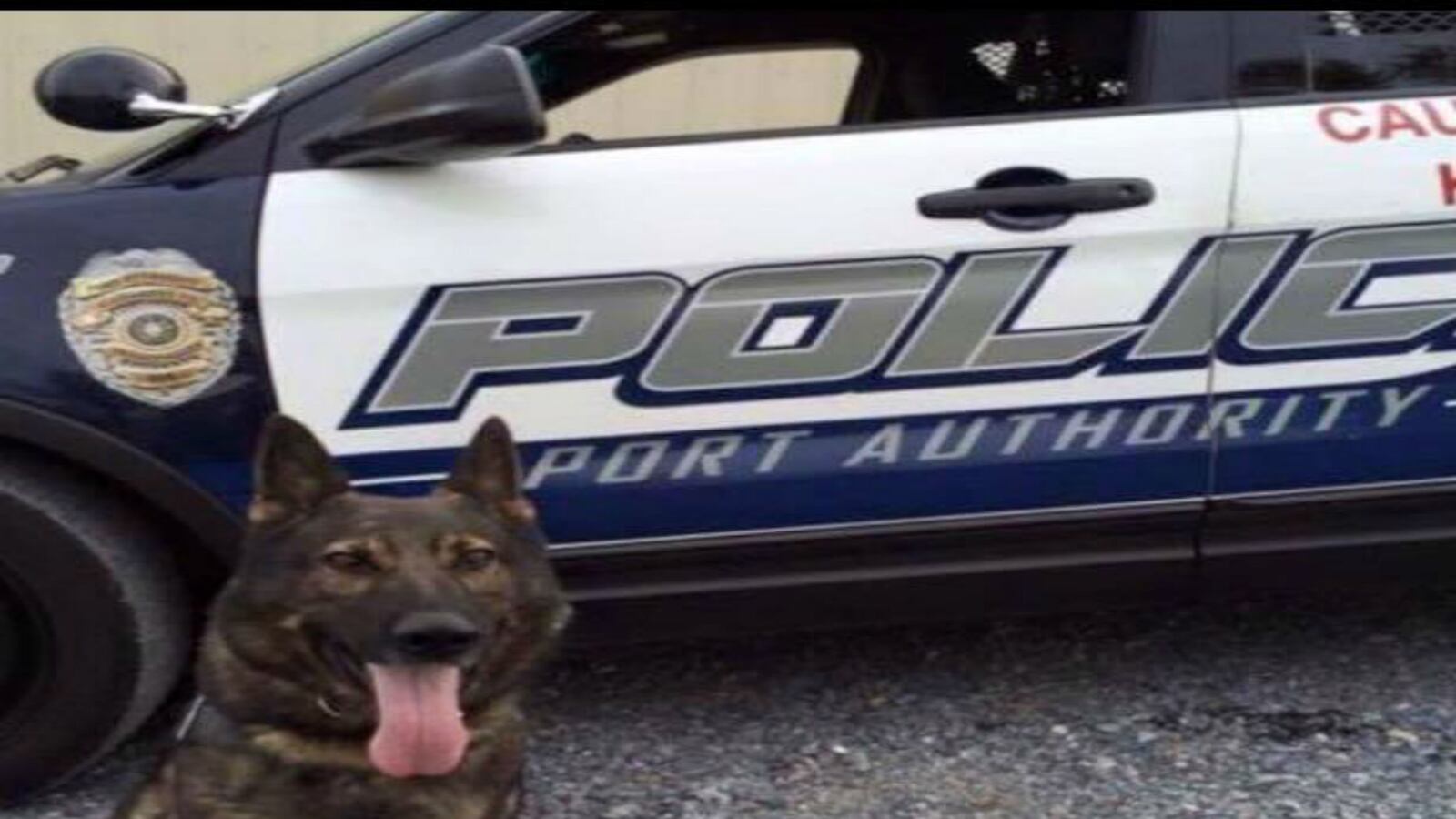 cheats/2016/01/31/one-shot-and-killed-k9-fatally-stabbed/160131-k9-stabbed-dies-cheat_ztokjw