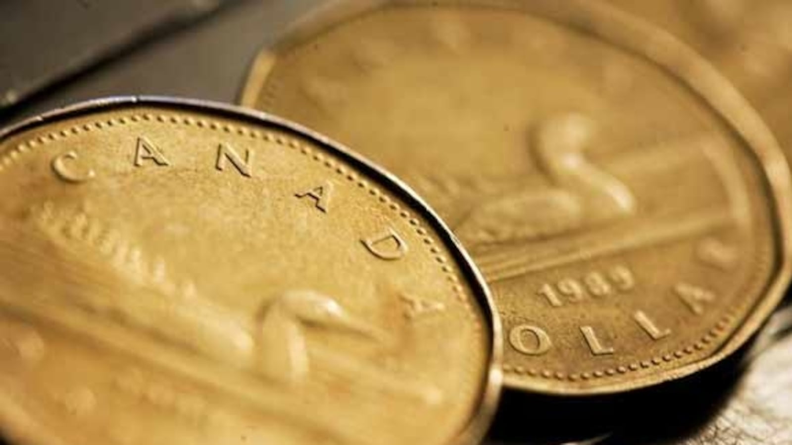 articles/2012/07/19/canadian-loonie/canadian-dollar_gaca3i