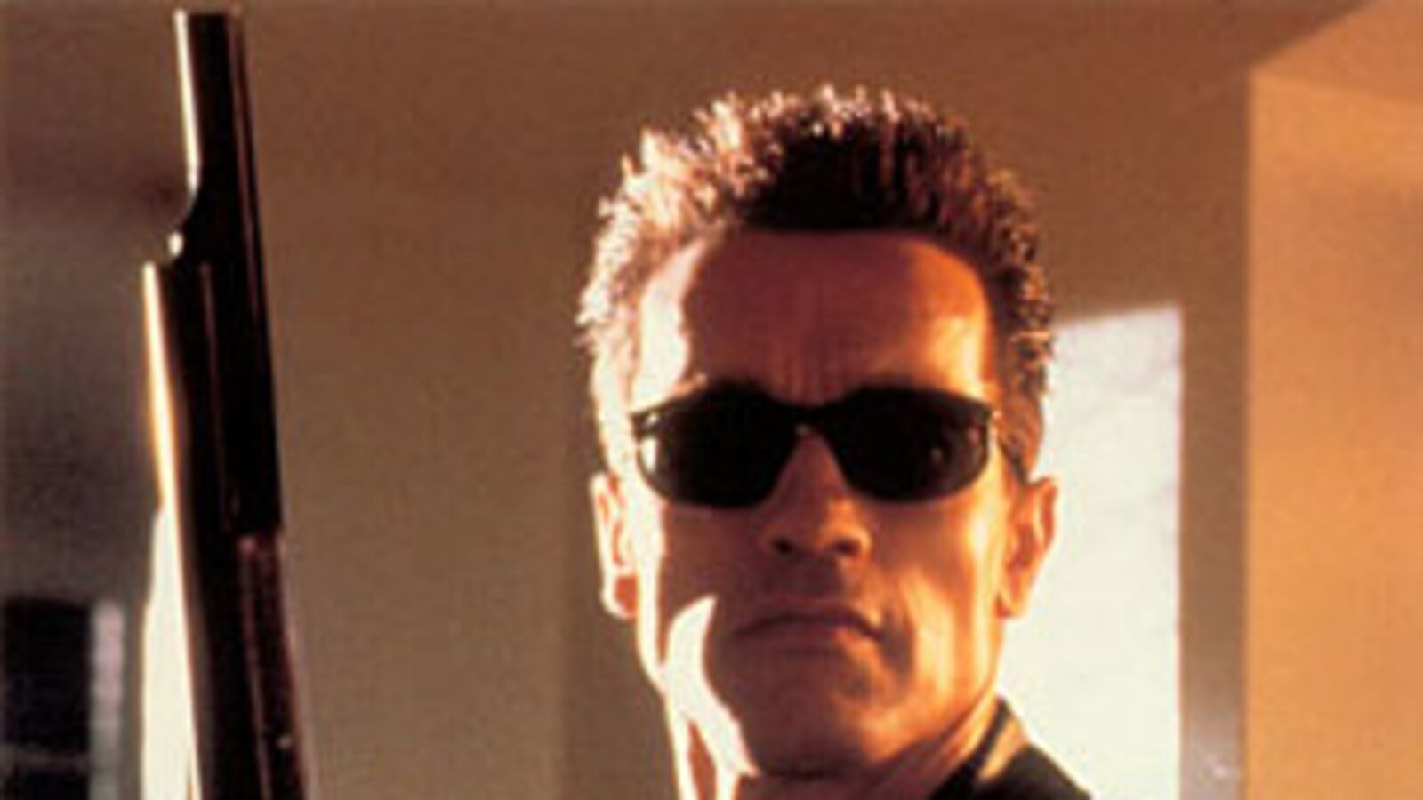cheats/2009/02/25/arnold-back-on-screen/arnold-on-screen_cpqpae