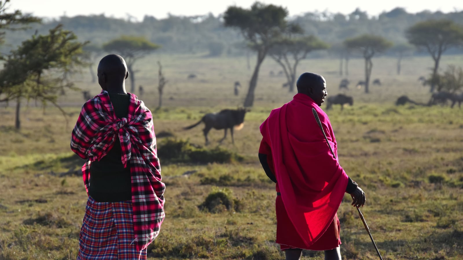 A photograph of two Maasai guides leading a walking safari in Kenya.