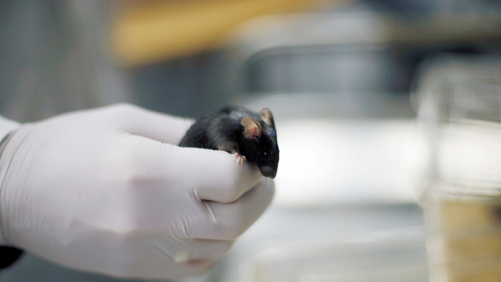 2021-01-21T172844Z_1255843165_RC2HCL94G98L_RTRMADP_3_SCIENCE-GERMANY-GENETHERAPY-PARALYSIS_qp3hft