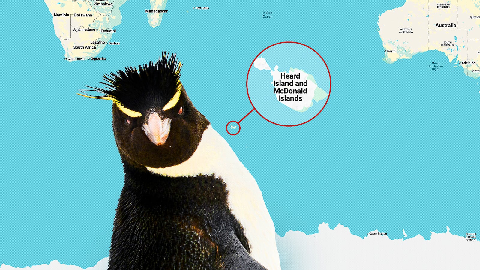 The Trump administration places tariffs on the uninhabited Heard and McDonalds Islands.