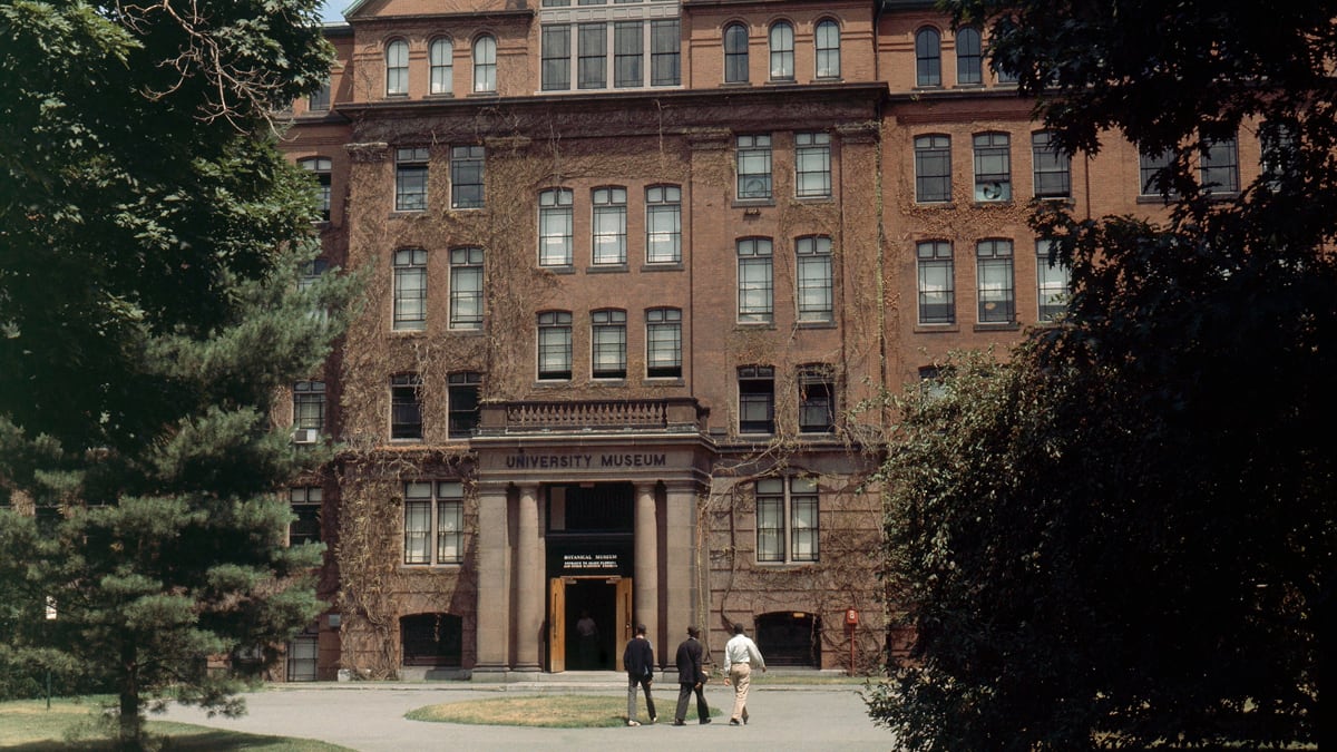 articles/2012/04/04/deborah-copaken-kogan-s-novel-the-red-book-examines-the-cult-of-achievement/redbook-review-herrup_r8hxzy