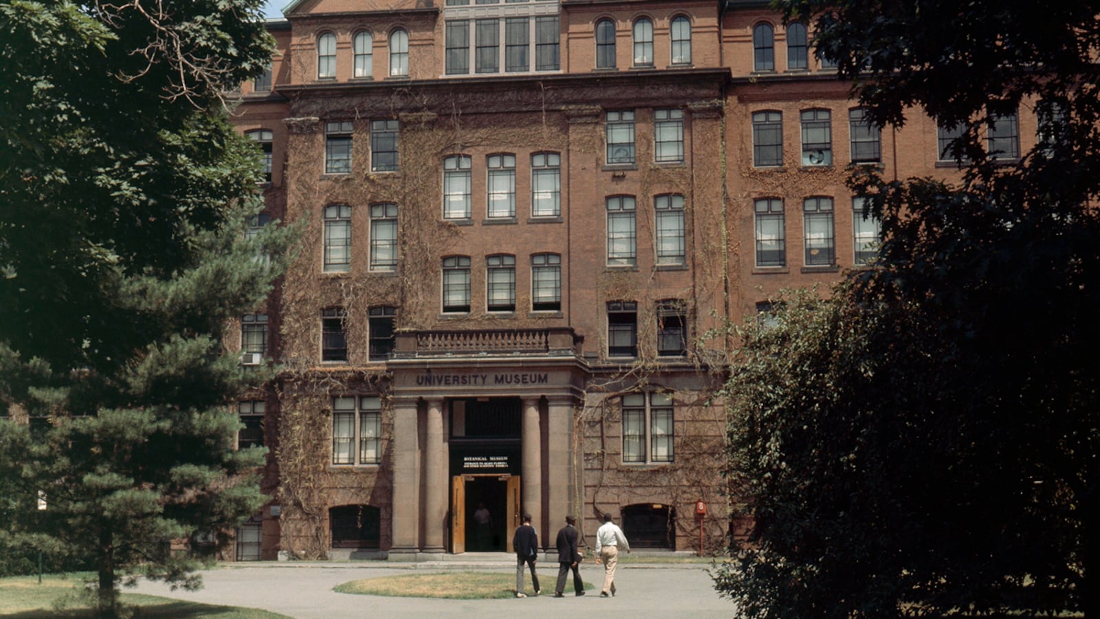 articles/2012/04/04/deborah-copaken-kogan-s-novel-the-red-book-examines-the-cult-of-achievement/redbook-review-herrup_r8hxzy