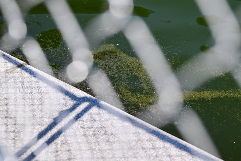 Debris floats in the water at the Lincoln Memorial Reflecting Pool